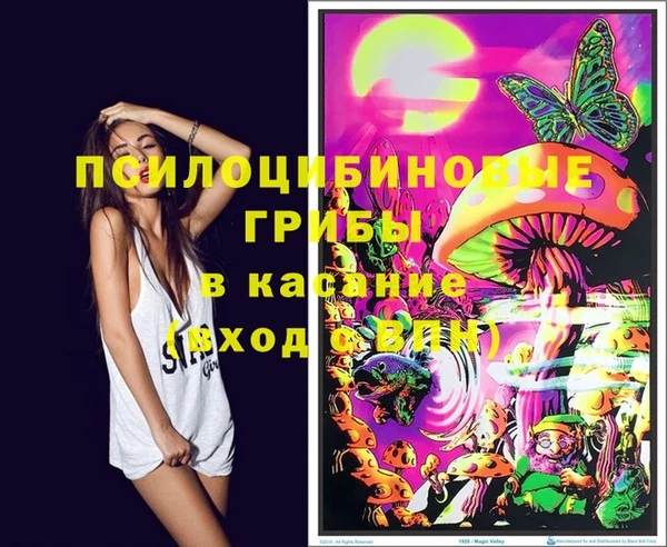 МДПВ Надым