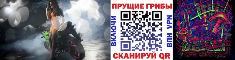Галлюциногенные грибы мицелий  Лермонтов 